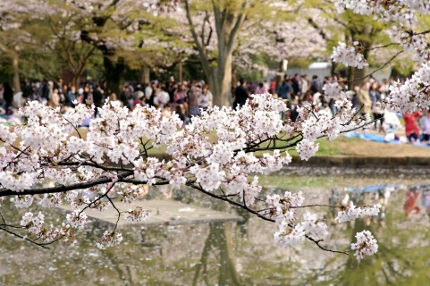 代々木公園